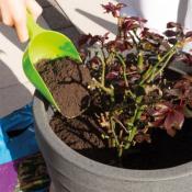 Mini pelle de jardin polyvalente verte