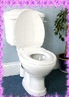 Les toilettes en toute sécurité pour les enfants avec ce réducteur de cuvette Les toilettes en toute sécurité pour les enfants avec ce réducteur de cuvette