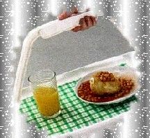 Plateau repas 