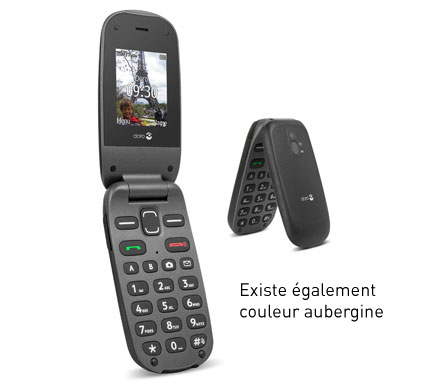 Minifone Maxi