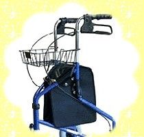 le compagnon idéal pour les promenades