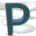 Articles commenant par la lettre P